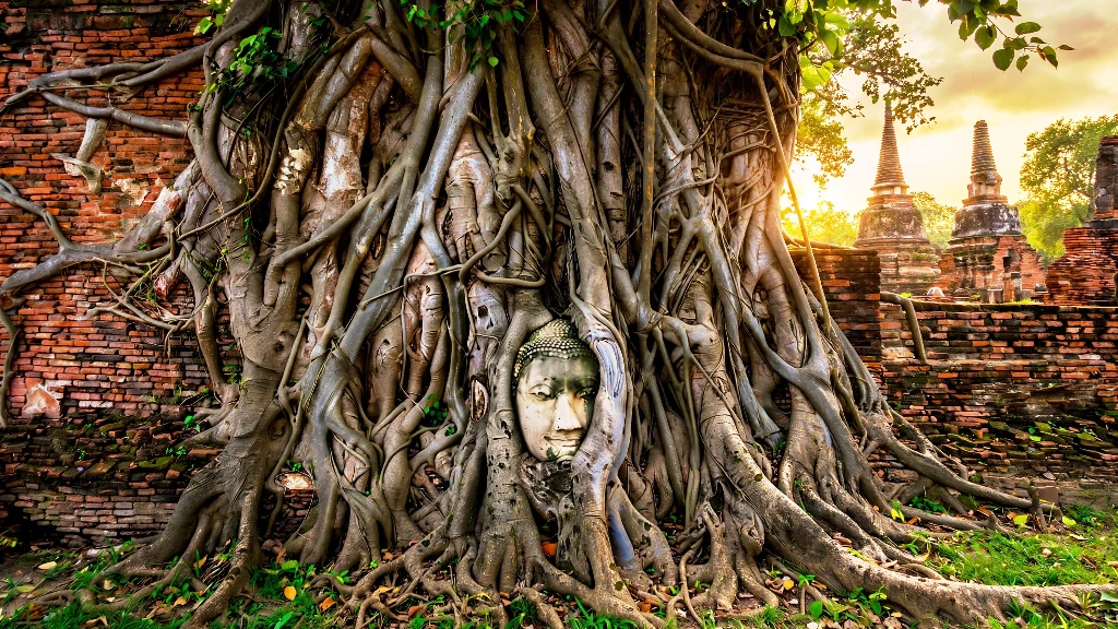 Ayutthaya Ruins